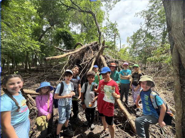 Screenshot 2026-03-19 072733